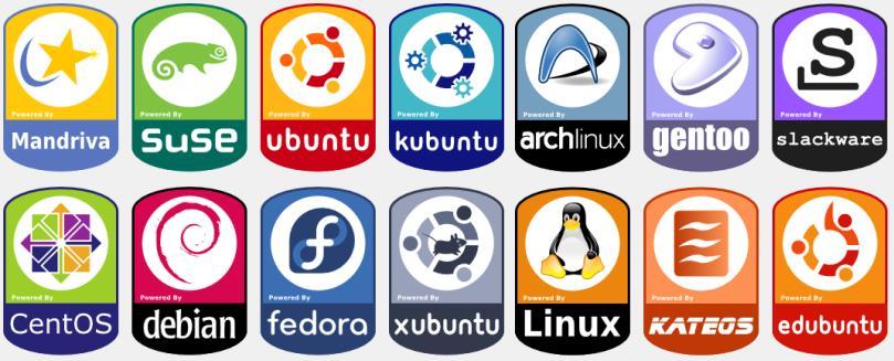 Linux é o termo geralmente usado para designar qualquer sistema operacional que utilize