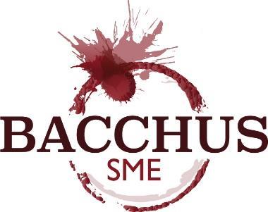 BACCHUS SME é um projeto Europeu concebido para desenvolver uma ferramenta de diagnóstico e um inovador curso de formação misto para a formação inicial ou contínua das Pequenas e Médias Empresas do