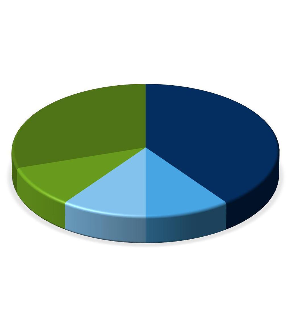 Distribuição: Fundação 7.500.000 30% Fundadores 2.500.000 10% ICO 10.