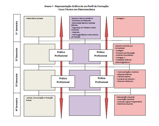 4.1. Representação gráfica do perfil de formação