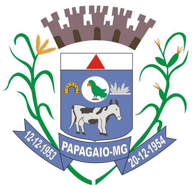 1 EDITAL Nº 01/2008 O Exmo. Sr. Prefeito Municipal de Papagaio, no uso das atribuições que lhe são conferidas pela legislação em vigor, em atendimento das Lei n.º 8.112/1990, 8.