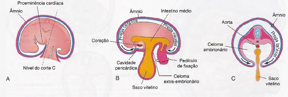 Desenvolvimento