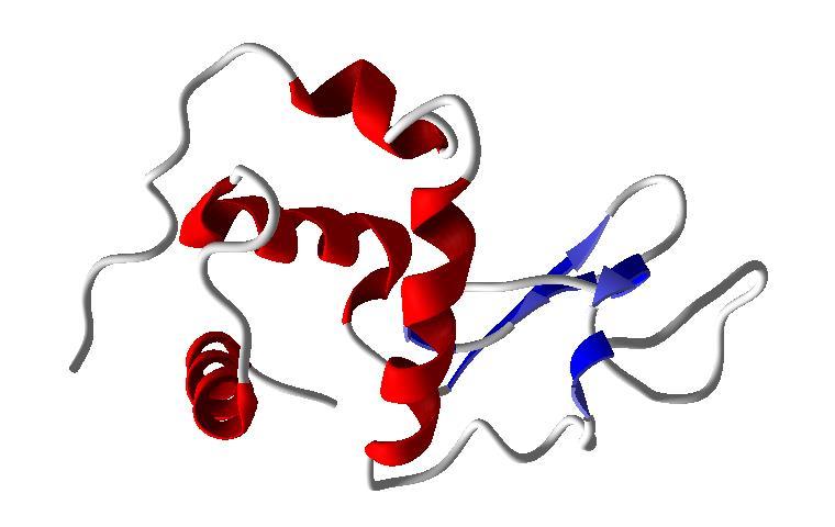 Programa: asa2.py O programa anterior (asa1.py) calcula a área acessível ao solvente de proteínas, a partir do conhecimento da massa molecular. Podemos modificar o programa asa1.