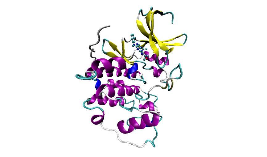 Programa: freeenergy.py Podemos representar a formação do complexo proteína-ligante (PL), a partir dos componentes proteína (P) e ligante (L), como esquematizado abaixo.