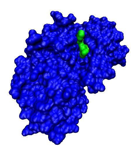 Programa: freeenergy.py O termo H indica a entalpia do sistema, que representa as forças moleculares envolvidas nas interações proteínaligante.