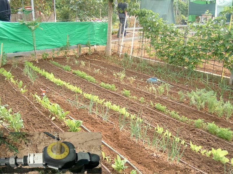 A informação hidroclimática, em temos de médias anuais e sazonais com base histórica e estatística, sendo útil para uma programação da rega, será insuficiente