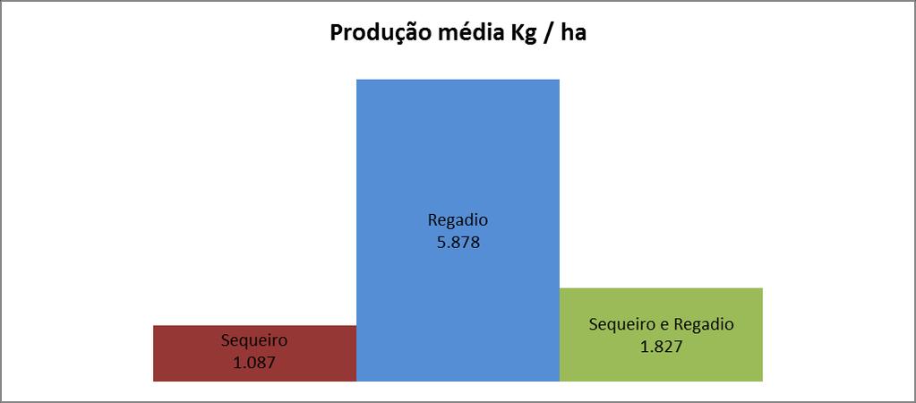 Segundo os dados de algumas folhas de registos de entrada da azeitona no lagar, especificamente para a cultivar Arbequina, a partir de 27 de Janeiro a azeitona transportada para o lagar foi apanhada