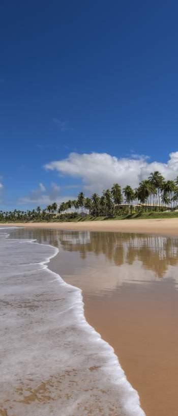 LOCALIZAÇÃO PRAIA DO FORTE PRAIA DO FORTE RECEBE EM SUAS PRAIAS TURISTAS DE TODO MUNDO, QUE VÃO EM BUSCA DE DESCANSO E DIVERSÃO NO LITORAL DA BAHIA.