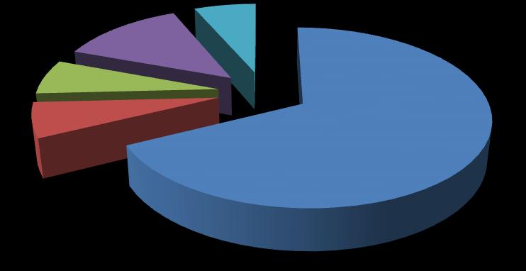 Fonte: Pesquisa de campo Saúde / Exame Lazer / Clínica 6% / Hospital 13% Principal motivo da viagem Compras 6% Evento Acadêmico 7% Trabalho /