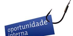 2008 320 mil horas/aula Temas: comportamento empresarial, gestão