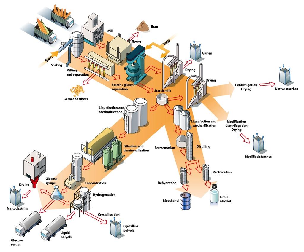 Processo de produção de amido à base de cereais Divisão Cooperative Divisão Notre stratégie Indicadores Our