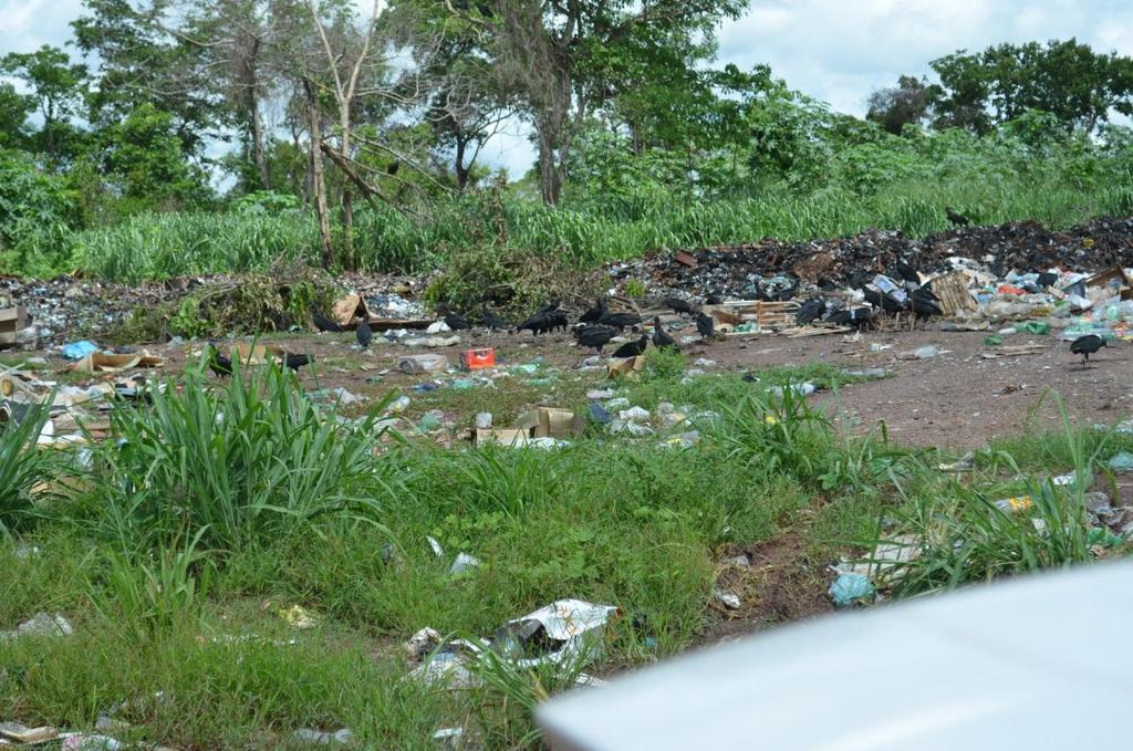 Fig 12 - Acervo fotográfico ADETEC -2016 Identificação dos Impactos Ambientais A avaliação dos impactos ambientais causados pela instalação do lixão no município de Acorizal MT envolveu analise