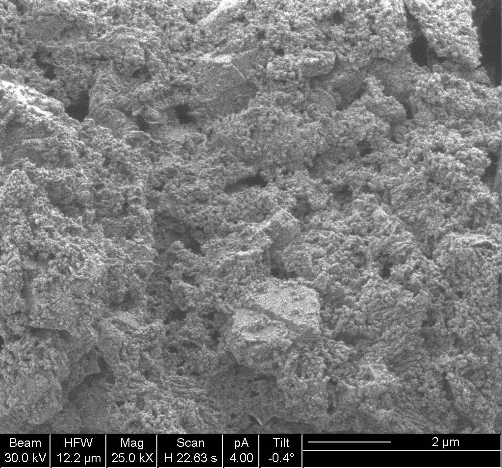 FIB 4 meses 5 anos 2,5 µm 2,8 µm