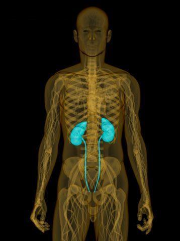 ... Nos casos de DRC instalada 5. Prevenir distúrbios hemodinâmicos (diarréia, vômito, cuidado com uso de laxativos e diuréticos, observar diminuição de ingesta de liquidos) 6.