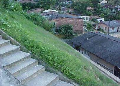 Figura 2.8: Utilização de gramíneas como proteção superficial no município de Camaragibe (SANTANA, 2006).