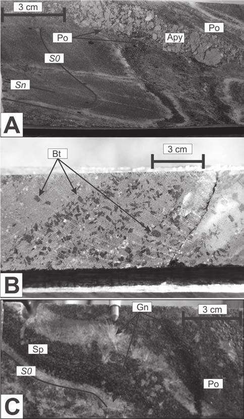 apertadas a isoclinais. Charneiras desenvolvidas em BIFs e metacherts tendem a apresentar alteração hidrotermal mais intensa, com forte silicificação e sulfetação.