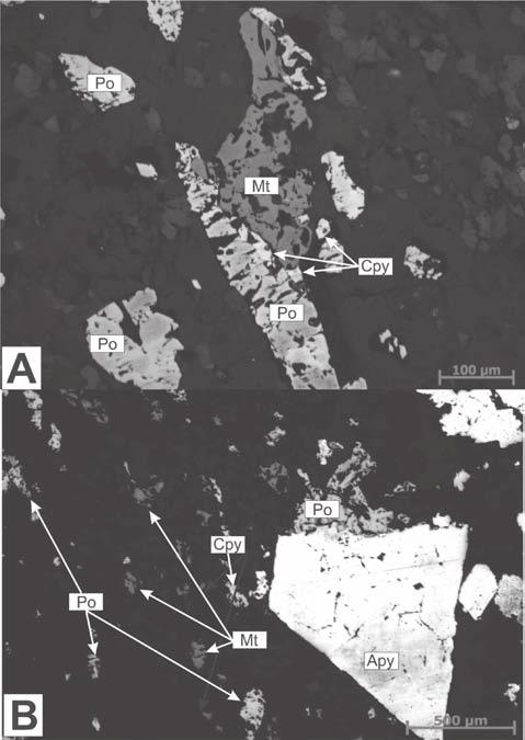 BIFs do cinturão metavulcanossedimentar Congonhas-Itaverava com alteração hidrotermal (sulfetação).