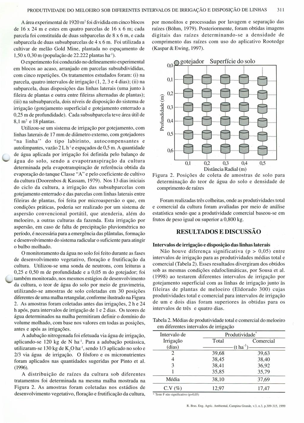 PRODUTVDADE DO MELOERO SOB DFERENTES NTERVALOSDE RRGAÇÃO E DSPOSÇÃO DE LNHAS A área experimental de 920 m?