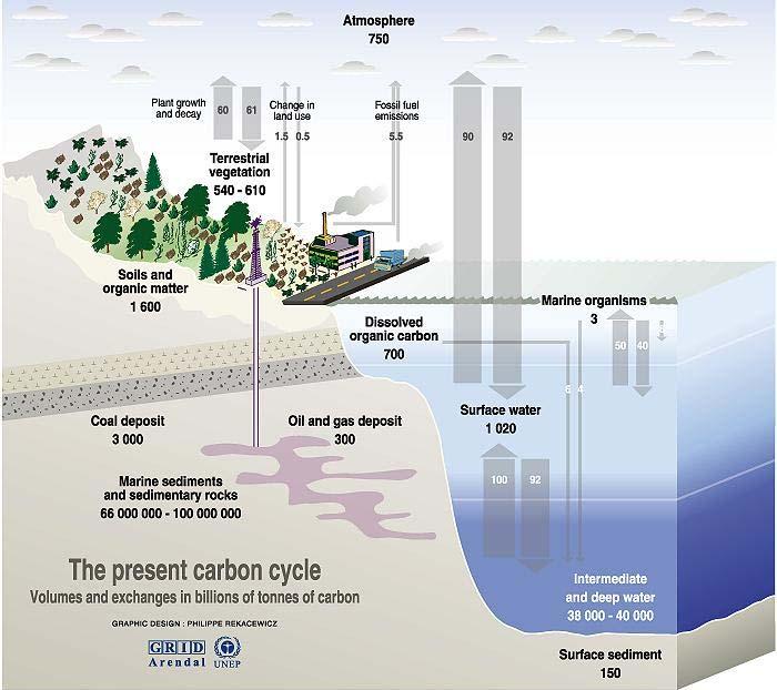 Atmosfera Ciclo do Crescimento e decomposição vegetal Mudança no uso do solo Emissões de combustíveis fósseis 5.