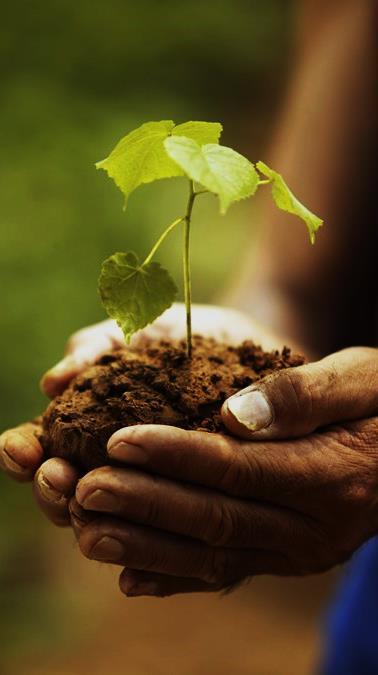 Valores que os definem: Responsabilidade social, tolerância social, igualdade, mente aberta, aprendizado e conhecimento.