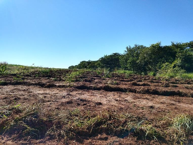 A área recuperada no período foi de aproximadamente de 7,2 hectares na Fazenda Modelo, com característica de solo arenoso, apresentando pequenos pontos rochosos e carência populacional de árvores e