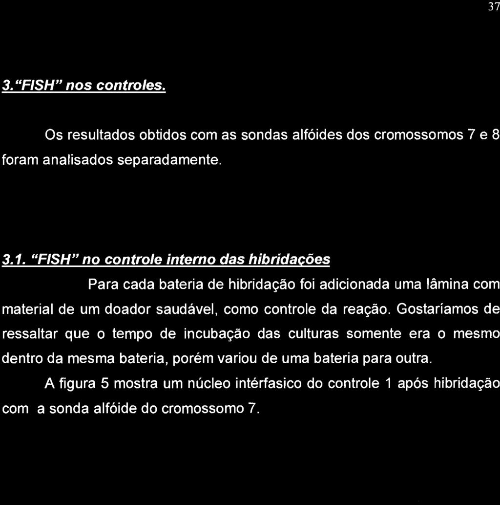 37 3. "FISH" nos controles. Os resultados obtidos com as sondas alfóides dos cromossomos 7 e 8 foram analisados separadamente. 3.1.