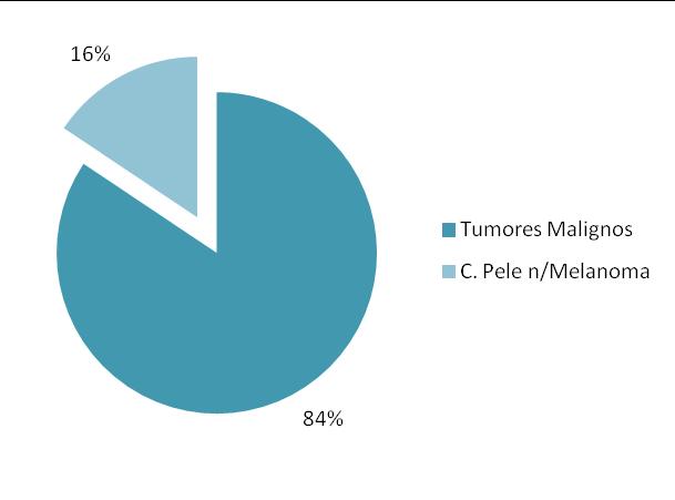 DOENTES REGISTADOS NO TOTAL E POR SEXO DOENTES REGISTADOS DISTRIBUIÇÃO DOS TUMORES MALIGNOS E CARCINOMAS DA PELE NÃO MELANOMA POR SEXO, 2008 REGISTO SEXO MASCULINO SEXO FEMININO TOTAL Tumores