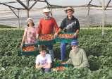 Vale destacar que todos estes programas são frutos da luta e do trabalho do MSTTR. Promover o CCIR dos agricultores(as) familiares.