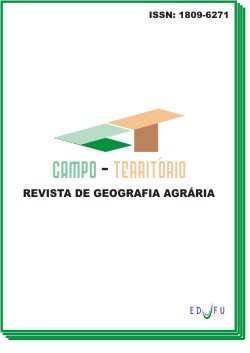 Encontro Nacional de Geografia Agrária em Gramado (RS), novembro de 2004. Em um total de oitenta e seis artigos publicados na revista, foram coletados nove artigos que tratam do processo de T-D-R.