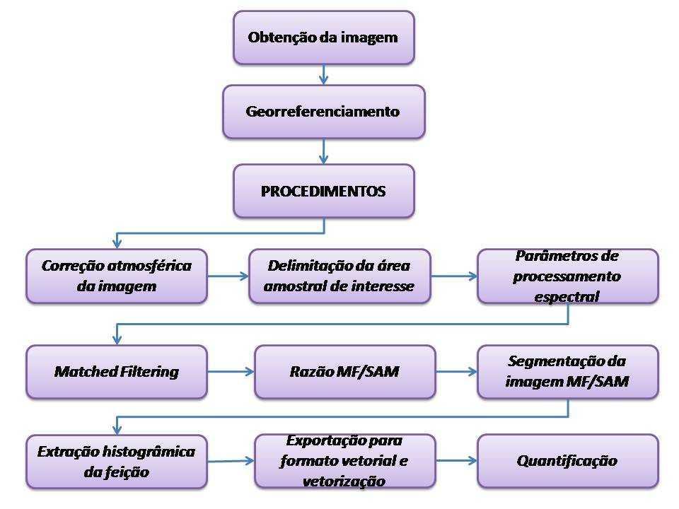 VI Seminário Latino Americano de Geografia Física II Seminário Ibero Americano de Geografia Física Universidade de Coimbra, Maio de 2010 Metodologia Para o desenvolvimento do mapeamento das matas de