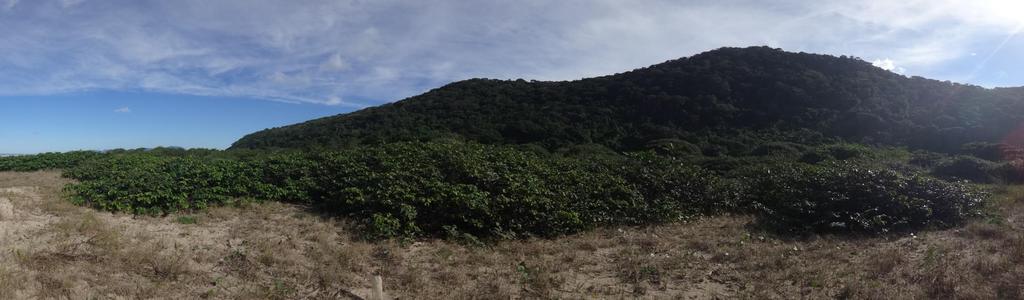 Área de estudo Praia do Una (Estação Ecológica Juréia-Itatins)