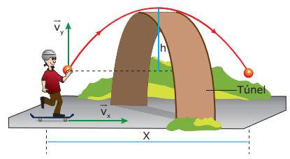 Despreze a resistência do ar e considere g = 10 m/s2. A altura máxima h alcançada pela bola e o deslocamento horizontal x do skate valem, respectivamente, A) h = 16,2 m; x = 18,0 m.