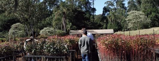 A partir disso, usando equipamentos microclimatológicos específicos, o programa monitorou o desenvolvimento de 200 hectares de floresta e sua resposta ao ambiente, em termos de captura e perda de CO