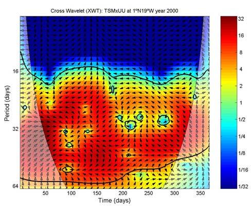 Figura 4.12a Ondeleta cruzada das séries temporais normalizadas de TSM e UU em 1ºN-19ºW para o ano 2000. Os 5% de significância contra o ruído vermelho é mostrado como um contorno espesso.