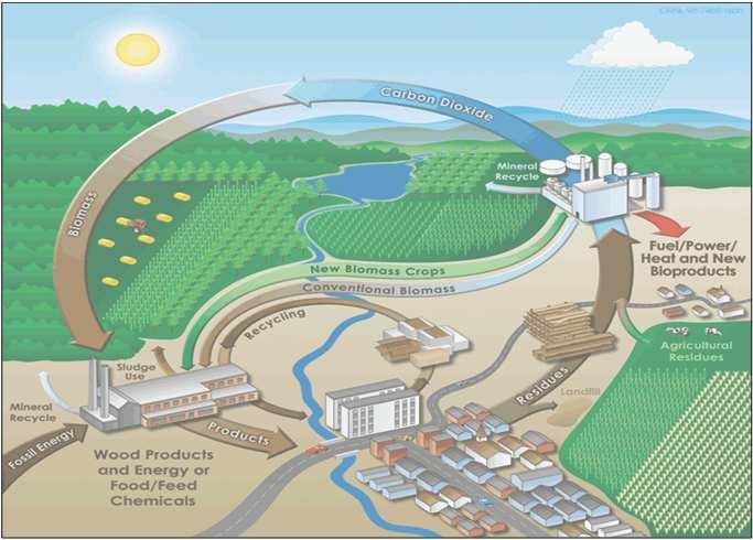 O conceito da Bioeconomia COM(2012)60, 13/02/2012 Utilização da I&I na produção de matérias-primas renováveis e sustentáveis em agricultura, silvicultura,