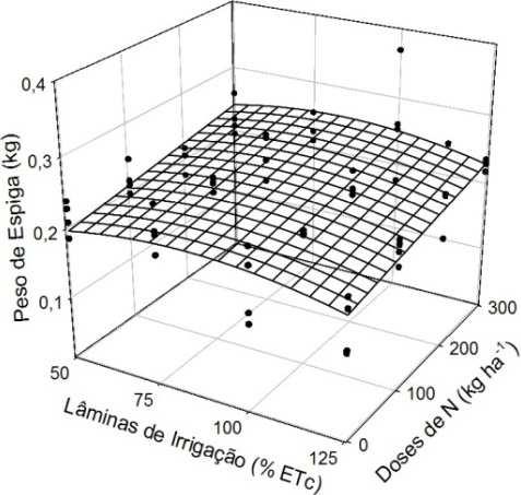 Estimativa do número de palha por espiga (NPE) e peso de espiga (PE) em função das lâminas de irrigação (LI) e doses nitrogenadas (DN) na época de cultivo Verão/Outono.