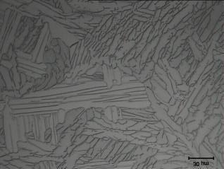 As imagens abaixo (Fig. 6 a 7) obtidas via microscópio ótico apresentam as estruturas obtidas nos tratamentos térmicos. Figura 6 - Micrografia da liga Ti-6Al-4V com estrutura de Widmanstätten.