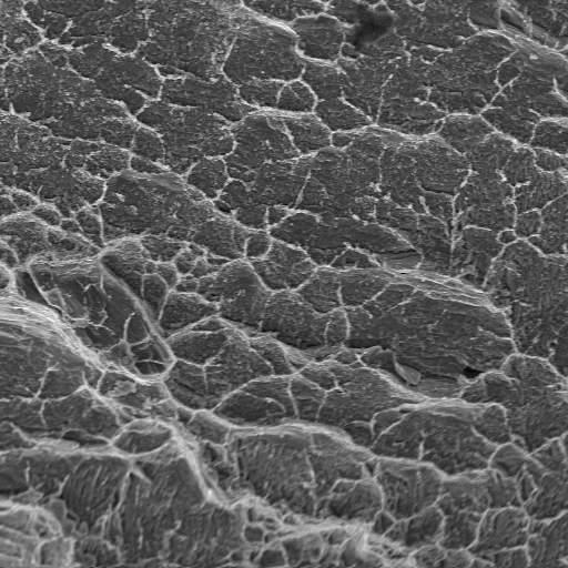 Conclusões Neste trabalho caracterizou-se microestruturalmente a liga Ti-6Al-4V após ensaio de fluência via microscopia óptica e microscopia eletrônica de varredura.