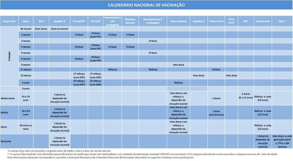 4º momento: Medindo a altura e a envergadura dos braços Montar com os alunos utilizando folhas sem pauta uma fita métrica para medir todos os alunos da sala.