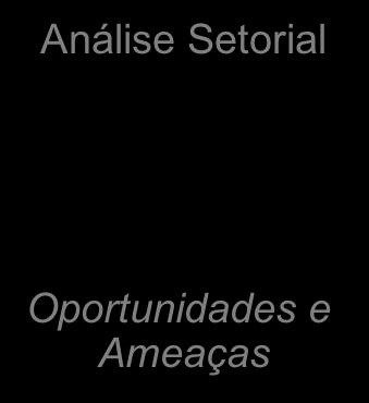 Processo de Planejamento Estratégico Análise Ambiental PESTEL Cenários