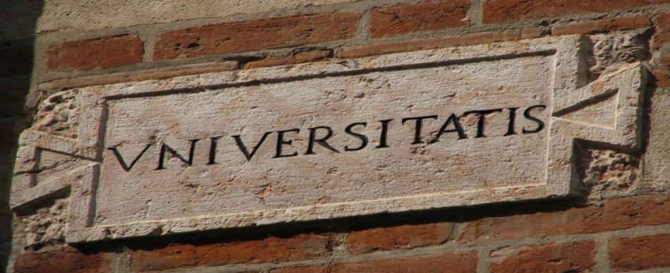 Por que as universidades são essenciais?
