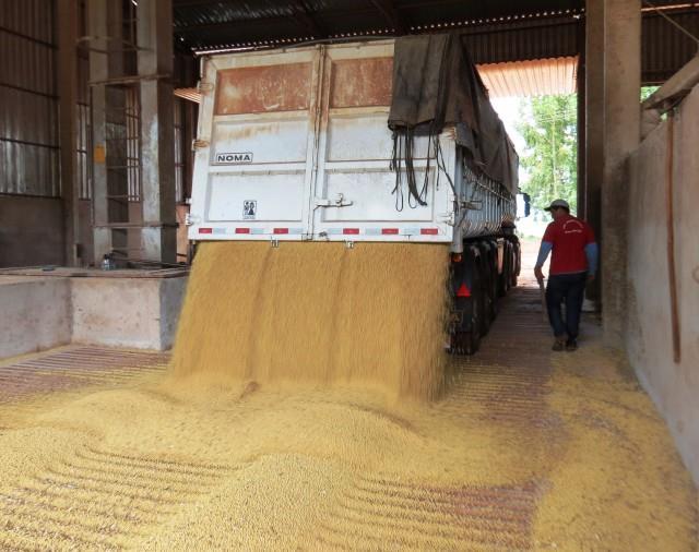 Brasil precisa ter mais estrutura de armazenamento de grãos Seminário de Grãos 2016 Em torno de 17,7 mil armazéns estão cadastrados na Conab, com capacidade de armazenagem