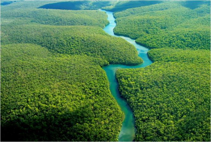 Atuação em programas de rastreabilidade do gado e no Bioma Amazônico Sustentabilidade A JBS S.A participa do CDP Carbon Disclosure Project.