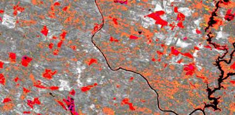 Figura 10 Áreas de: solo a nu (violeta + vermelho campos agrícolas lavrados) e proporção significativa de solo a nu (laranja + amarelo), Março de 1995.