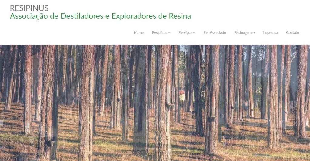 RESIPINUS ASSOCIAÇÃO DE DESTILADORES E EXPLORADORES DE RESINA Única associação representativa do setor da resinagem em Portugal.