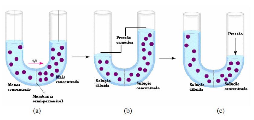 2.2. OSMOSE INVERSA A osmose é uma propriedade coligativa, atribuída ao movimento da água entre meios com diferentes concentrações de solutos, separados por uma membrana semipermeável.