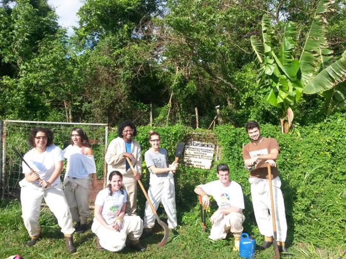 Sistema Agroflorestal (SAF) Como parte das análises, até o fim do primeiro semestre terá atividades de inventário na área.