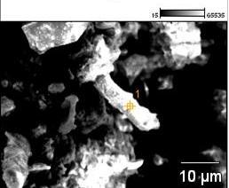 77 A análise de EDS da partícula de FL indicou concentração média de carbono de 27%, de 3% de alumínio e de 2% de silício.