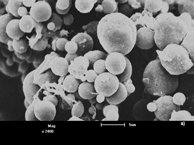 a) b) c) d) Figura 1 - Micrografias a) micropartículas de QT/ZN com ampliação de 2400x e escala de 5 microns.