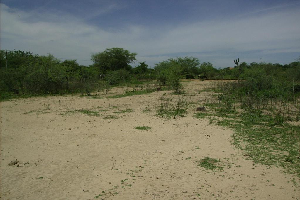 Desertificação